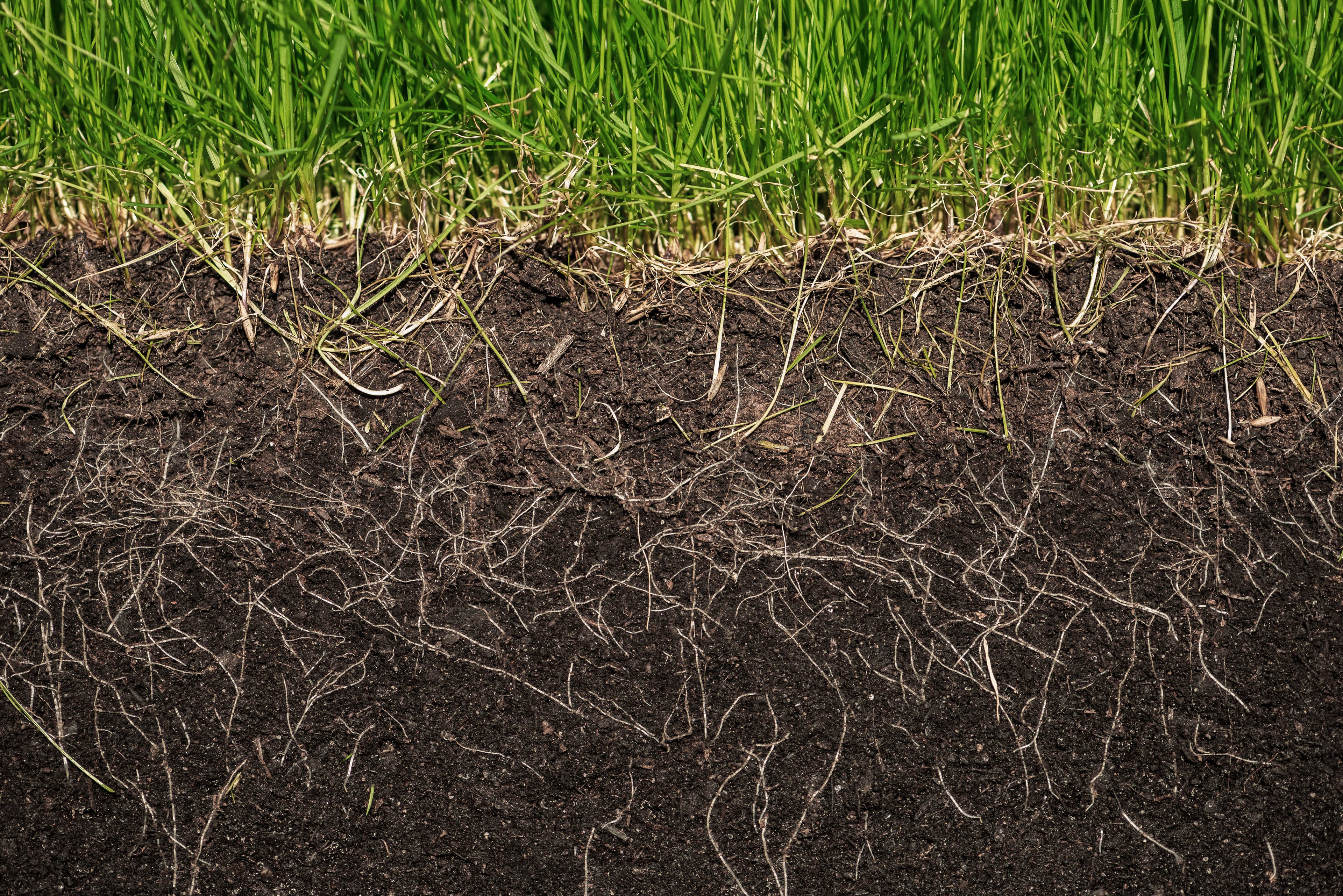 Soil Sponge Effect